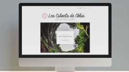 Desktop mockup front view